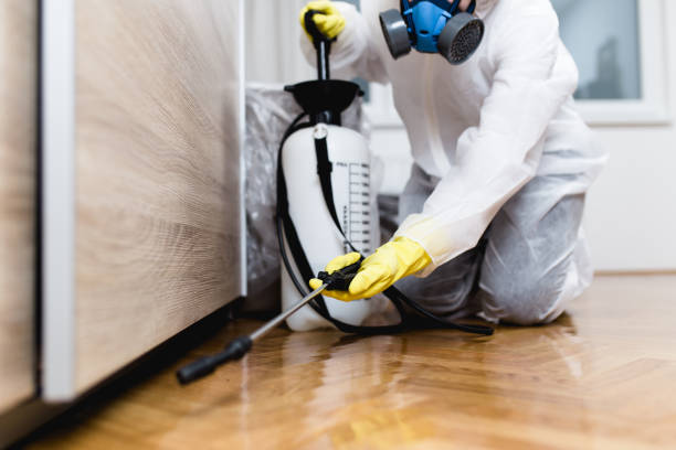 Best Pest Control Near Me  in Berlin, NH