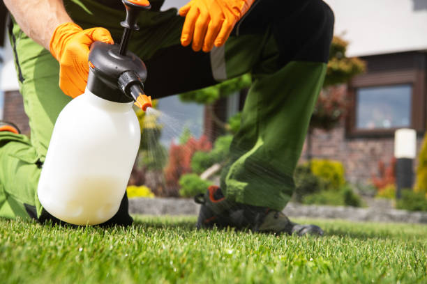 Best Affordable Pest Control Services  in Berlin, NH