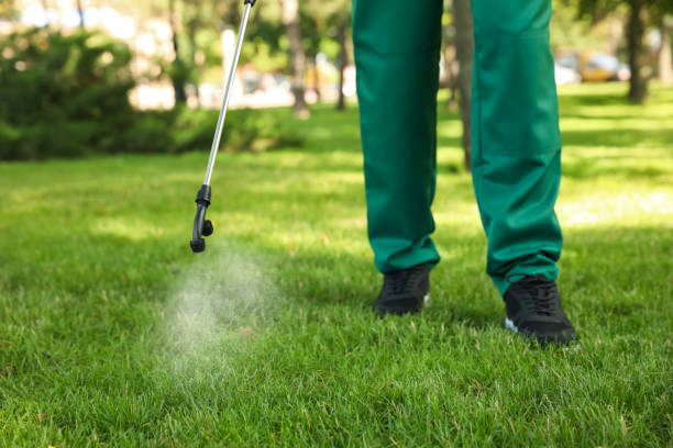 Best Best Pest Control Companies  in Berlin, NH