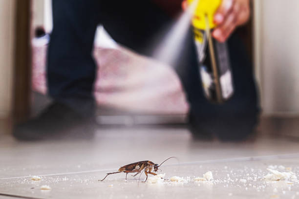  Berlin, NH Pest Control Pros